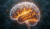 Gehirn mit neuronalen Bahnen zeigt Umprogrammierung von Prokrastination zu produktiven Gewohnheiten