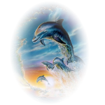 Online Marketing Logo Delfin